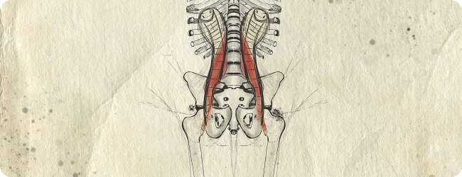 Food for thoughts on the term PSOAS